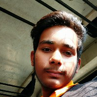 Viveesh Goyal