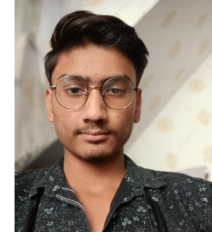 Viveit Bansal
