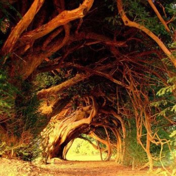 vybhavav AgarwalProfile Image