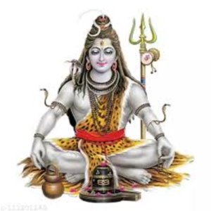 Yashwanesh Kulkarni