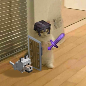 Zawpi