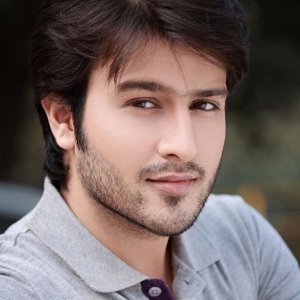 Zeeshaesh PandeyProfile Image